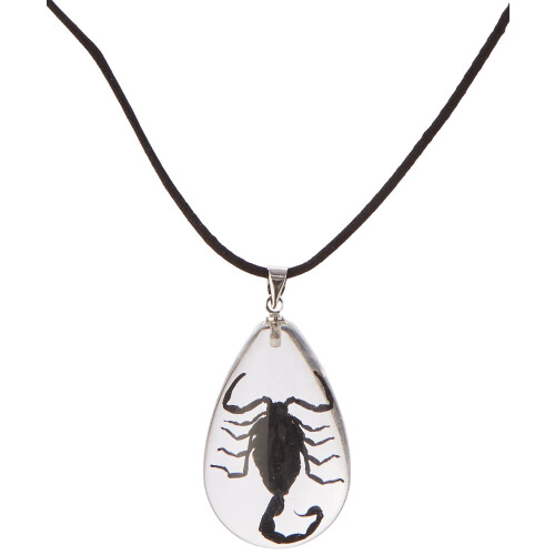 Collier avec Scorpion Noir Réel, Transparent, Petit