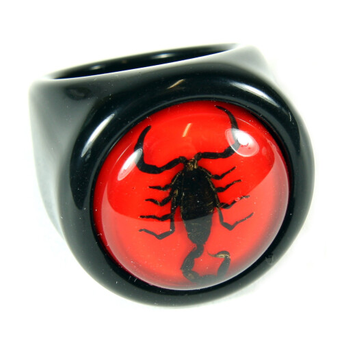 Schwarzer Skorpion Ring auf rotem Hintergrund Größe 6