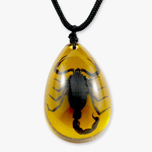 Collier Scorpion Noir REALBUG, Ambre, Grand