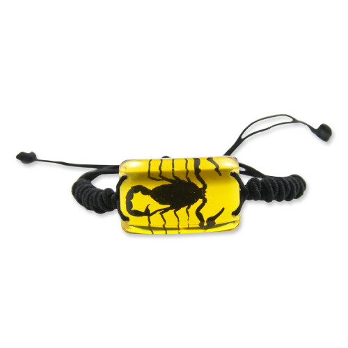 Bracelet Scorpion Noir REALBUG, Ambre