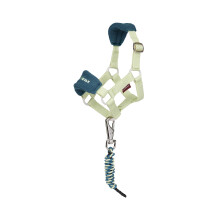 LeMieux Toy Pony Vogue Halter & Leadrope - Fleece Padded Noseband - Adjustable Strap - Machine Washable - Suitable for Ages 3+ - Macaron