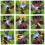 b. dazzle Puzzle Scramble Squares Parc National de Yellowstone (9 Pièces) 1