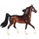 Breyer Bay Morgan B-FS-10610, Braun 1