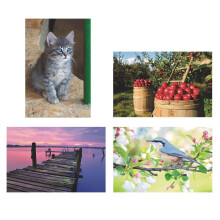 Ensemble de puzzles en mousse Thera-Jigsaw : Pomme, Oiseau bleu, Quai, et Chaton (Set de 4)