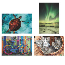 Ensemble de Puzzles Thera-Jigstick : Vélos Colorés, Chats, Aurores Boréales et Tortue de Mer (Set de 4)