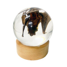 REALBUG Globe de chauve-souris suspendu