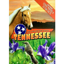 Cartes à Jouer Souvenir du Tennessee