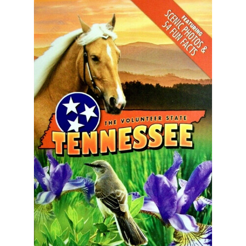 Cartes à Jouer Souvenir du Tennessee
