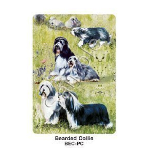 Carte da Gioco per Migliori Amici, di Ruth Maystead - Bearded Collie