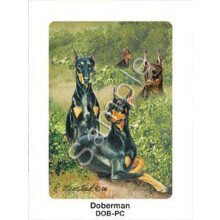Dobermann Spielkarten von Ruth Maystead (DOB-PC)