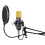 Home Studio Recording with Microphone, Audio Interface and Headphones - CMS400B 2