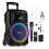 10" Portable PA System with Wireless Handheld & Headset Microphone - FT10LED MK2 1