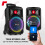 10" Portable PA System with Wireless Handheld & Headset Microphone - FT10LED MK2 3