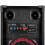 Fenton SPK-210 2x 10" Bluetooth Karaoke Party Speaker System with Microphones 5
