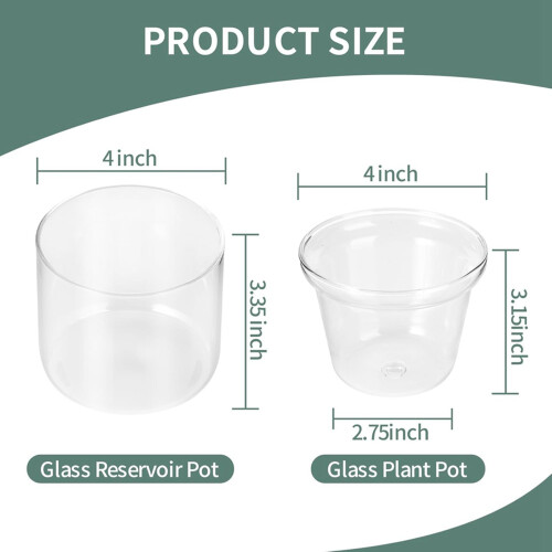 3X Vaso Autoirrigável de 4 Polegadas, Vaso para Violeta Africana, Vaso de Vidro com Fundo Irrigável para Plantas de Interior e Propagação