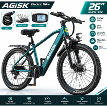 26" 250W 36V Electric Mountain E-Bike
