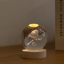 Light Up Christmas Decoration 3D Robin Glass Globe USB LED
