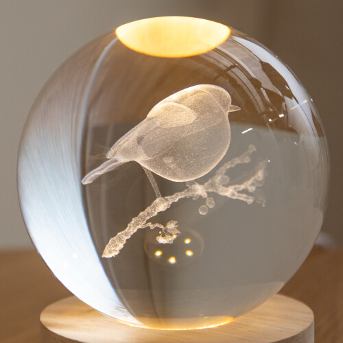 Premier Light Up Christmas Decoration 3D Robin Glass Globe USB LED 2