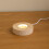 Premier Light Up Christmas Decoration 3D Robin Glass Globe USB LED 4