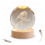Premier Light Up Christmas Decoration 3D Robin Glass Globe USB LED 6