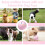 Motion-Activated Interactive Dog Ball – Sturdy USB Rechargeable Rolling Toy, 2.2 Inch, Pink 5