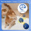 Interactive Cat Ball Toy 2.0 – Two-Speed USB Rechargeable Rolling Ball with Random Motion, Orange 3