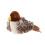 Interactive Bird Toy for Cats – Realistic Chirping Feather Plush Toy with Motion Sensor 1