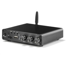 D100U 5.4 Amplifier TPA3116 Dual Channel HiFi Power Amplifier 100Wx2 Audio Receiver with Power Adapter EU PLUG