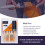 Hamilton Hamilton Fine Tip Flat Paint Brushes Decorating Set 5 Pack 6