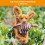 Dog & Field The Original Clone Realistic Game Bird Dog Training Dummies 5
