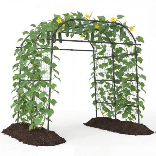 Gartenspalierbogen, U-förmig, PE-beschichtetes Metall, Schwarz 1