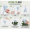 Optimized Watering System for Potted Plants: Self-Watering Spikes for Automatic Plant Care 2