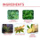Wormwood Foot Paste 2