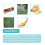 Corrective Foot Patch 2