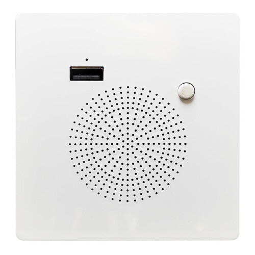 Speaker Panel Home USB Charging Panel Audio Wall Mounted USB Flash Drive Playback 1