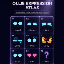 AI Companion Robot with Camera Voice Chat Touch Interaction Intelligent Emotion Perception Music Stories Weather News