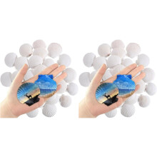 60 Pcs Natural Scallop Shells 2-3 Inch White Seashells for Crafts DIY Painting and Ocean Summer Beach Wedding Home
