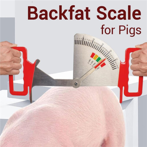 2X Sow Back Fat Caliper Essential Tool for Effective Sow Feeding Management  Farms 2