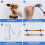 4X Supporto per Spada Laser Supporto per Spada Laser A Parete, Adatto per Supporto per Spada Laser, Spada Laser, Spada Laser 10