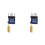 2X  New Industrial Grade RYLR998 Lora Module DIP Communication Module Electronic Accessories 1