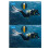 2X  Underwater 150M Scuba Dive Light Strobe Beacon Diving Signal Light Night Dive Flashing  Light C 6