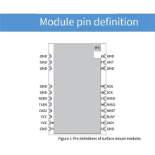 LR35-900M30SP SX1262 LoRa Draadloze Module 850MHz-930MHz 30dBm 10KM Langeafstand LoRa RF-Module Voeding