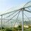 Double-Headed Chain Spring Buffer Steel Wire Rope, Fruit Tree Branch Pulling Shade Net Fence Tensioning and Fixing Cable 6