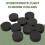 40 Pcs Garden Clone Collars Neoprene Inserts Sponge Block para 2 Polegada Net Pots Hydroponics Systems e Cloning Machines 8