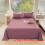 (Cameo Brown) Solid Simple Colored Bed Sheet With Super Soft And Breathable For Items Daily 1