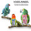 Bird Diapers – 3-Pack Reusable Polyester Flight Suit Diapers for Small Birds (Size M) 4