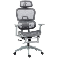 (Grey, Mesh) Multi-Adjustable Mesh Office Chair - Grey