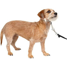 Dog Gentle Leader Head Collar – No-Pull Anti-Tugging Training Halter, Fawn