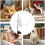 Suction Cup Interactive Cat Toy – Feather Wand with Bell, Self-Standing Base 5