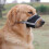 Adjustable Dog Muzzle – Soft Secure Muzzle for Medium & Large Breeds (Orange, Size M) 4